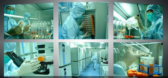 Cell Therapy 
Turnkey Project